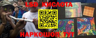 дживик Кингисепп