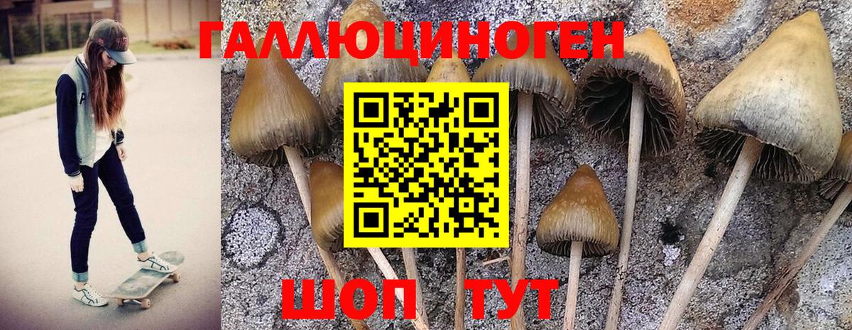 Галлюциногенные грибы Magic Shrooms  Вход с VPN  Красноуфимск 